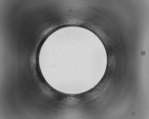 X0000102870632200809151236