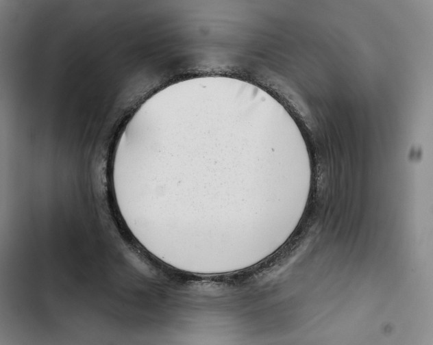 X0000102870633200809151236