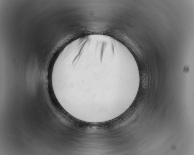 X0000102870634200809151236