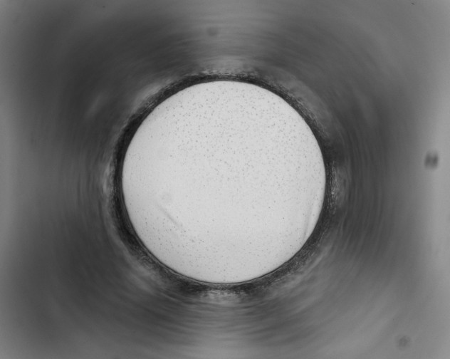 X0000102870636200809151236