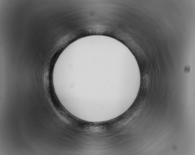 X0000102870638200809151236