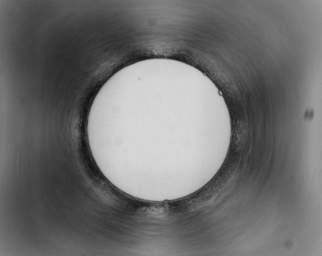 X0000102870639200809151236