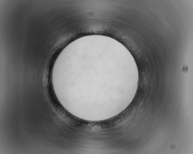 X0000102870640200809151236
