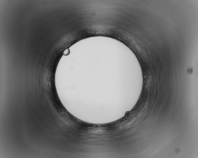 X0000102870643200809151236