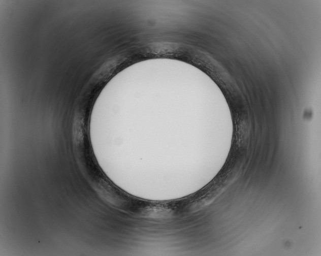 X0000102870644200809151236