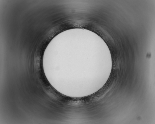 X0000102870646200809151236