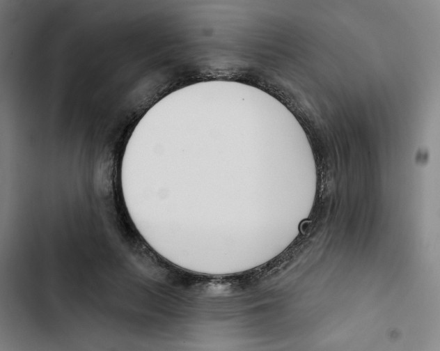 X0000102870647200809151236