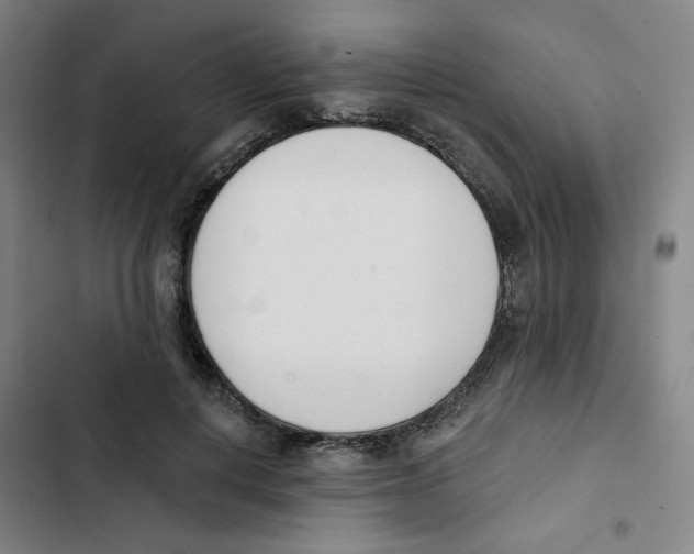 X0000102870648200809151236