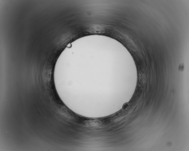 X0000102870652200809151236