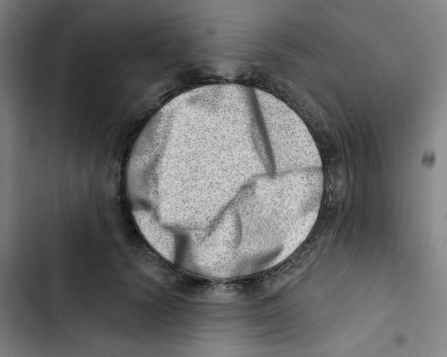 X0000102870656200809151236