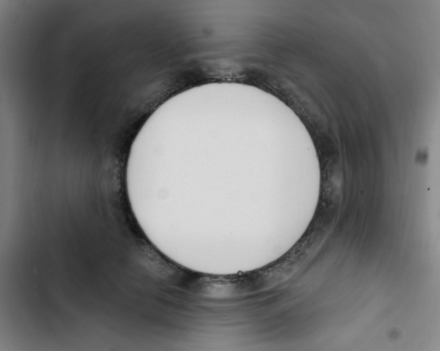 X0000102870658200809151236