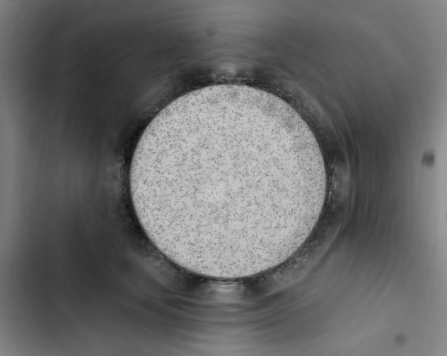 X0000102870659200809151236