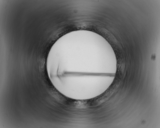 X0000102870660200809151236