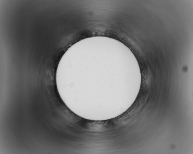 X0000102870661200809151236