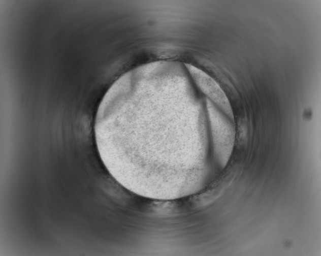X0000102870667200809151236