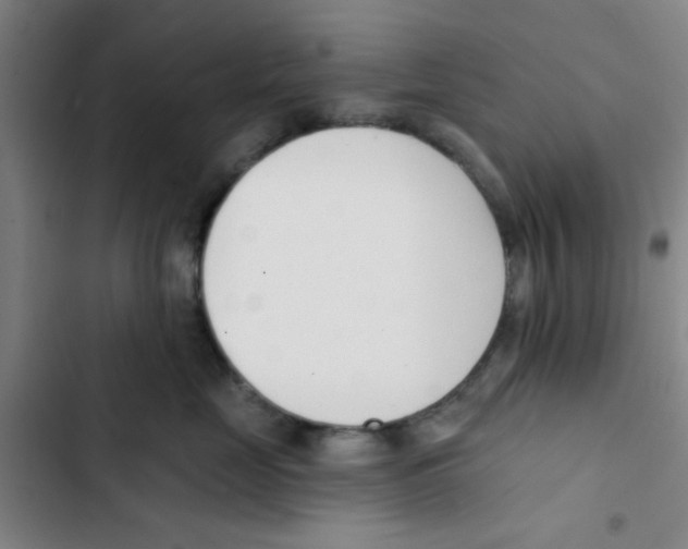 X0000102870669200809151236