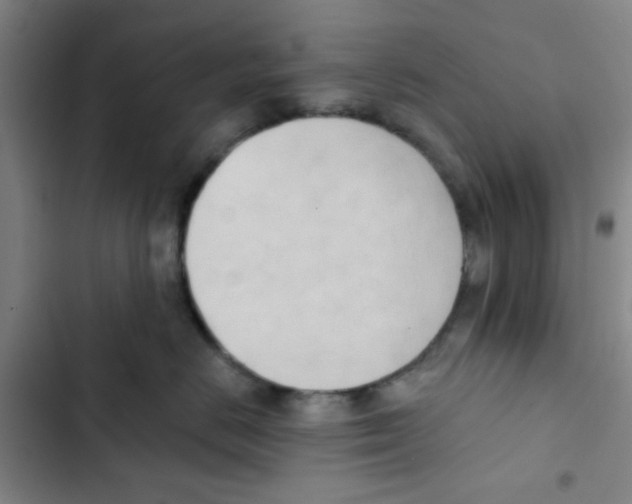 X0000102870670200809151236