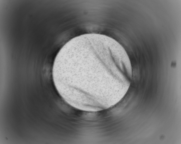 X0000102870671200809151236