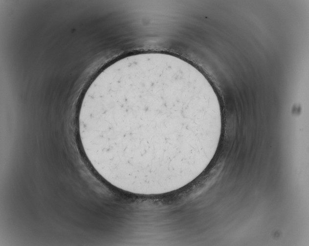 X0000102870673200809151235