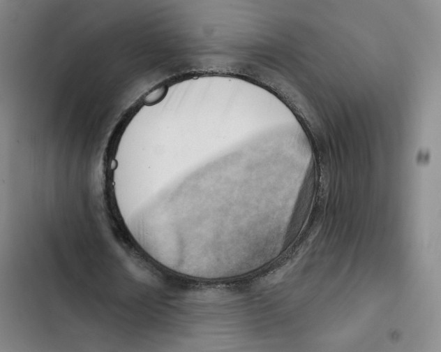 X0000102870674200809151235