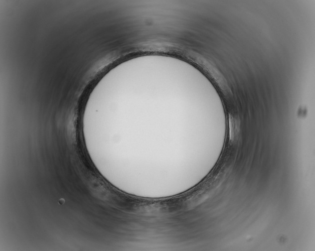 X0000102870675200809151235