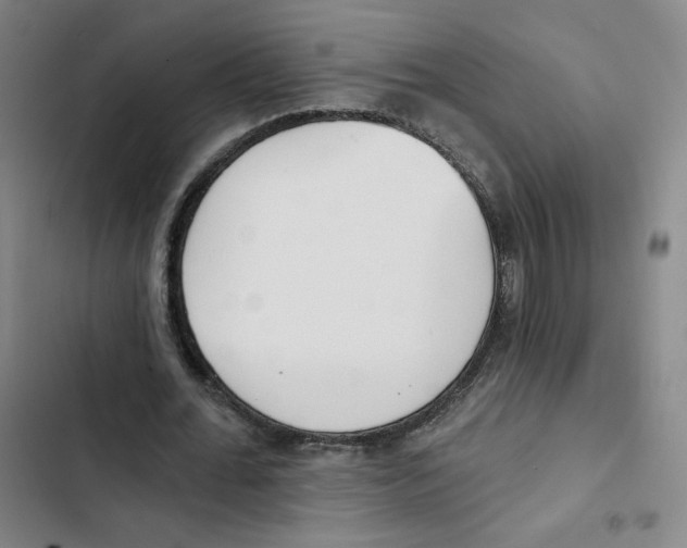 X0000102870676200809151235