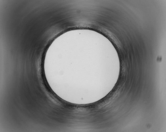 X0000102870677200809151235