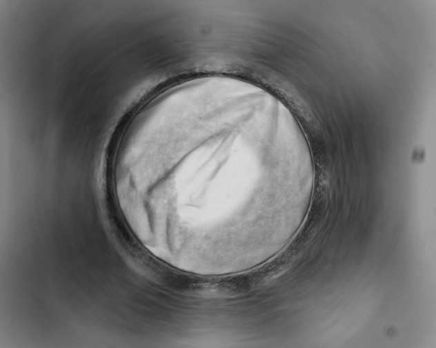 X0000102870678200809151235