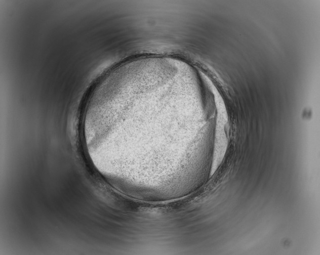 X0000102870679200809151235