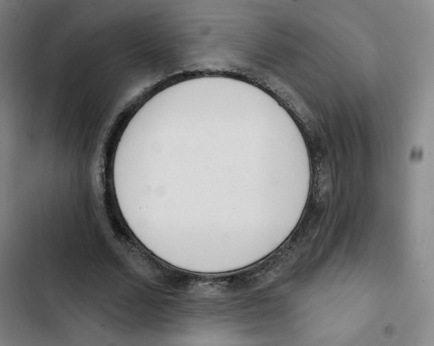 X0000102870680200809151235