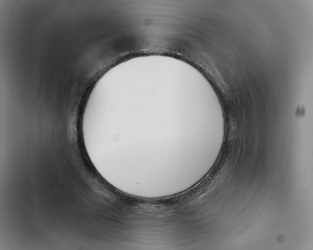 X0000102870681200809151235