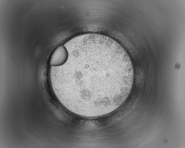 X0000102870683200809151235