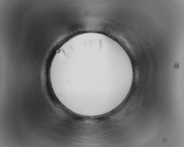 X0000102870684200809151235