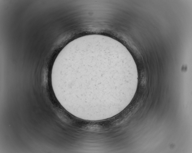 X0000102870685200809151235