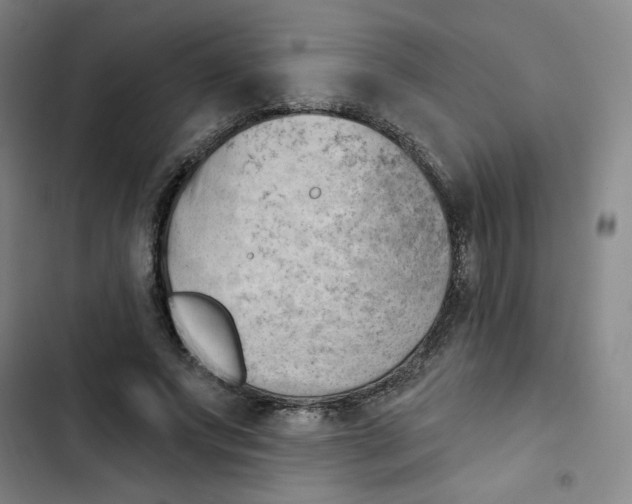 X0000102870687200809151235