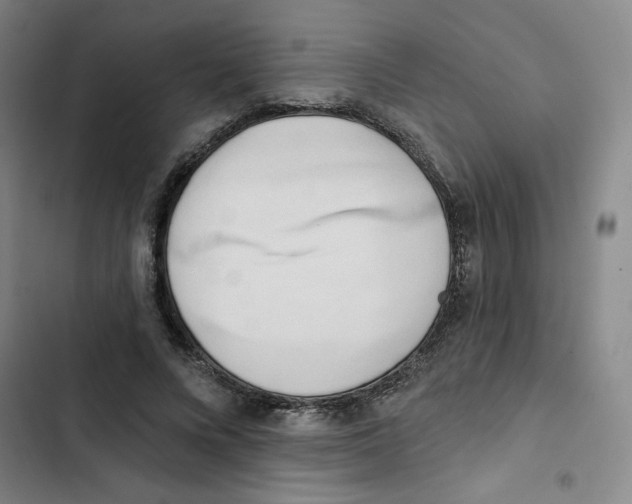 X0000102870688200809151235