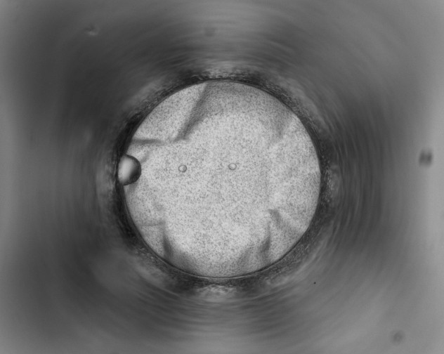 X0000102870691200809151235
