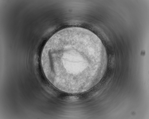X0000102870692200809151235