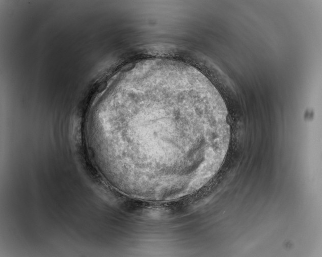 X0000102870696200809151235