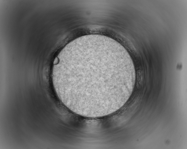 X0000102870698200809151235