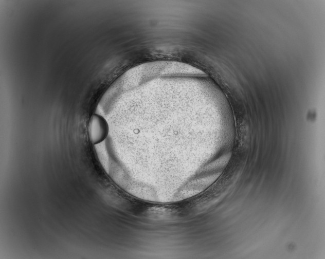 X0000102870699200809151235
