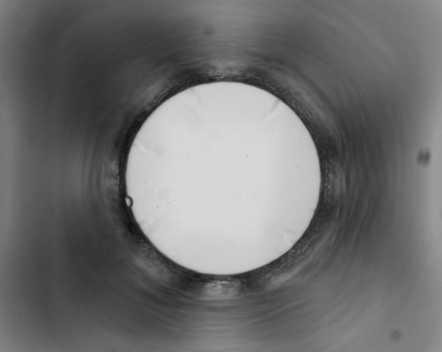 X0000102870700200809151235