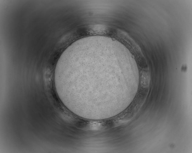 X0000102870701200809151235