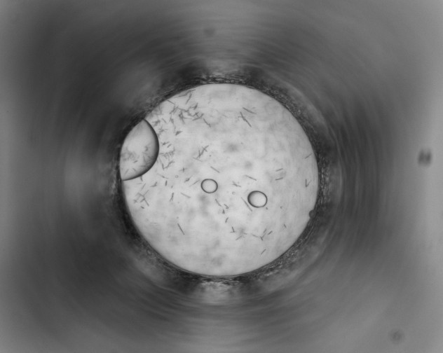 X0000102870703200809151235