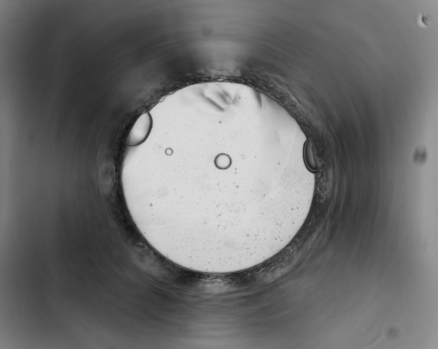 X0000102870704200809151235