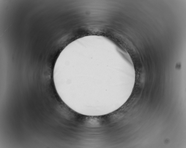X0000102870710200809151235