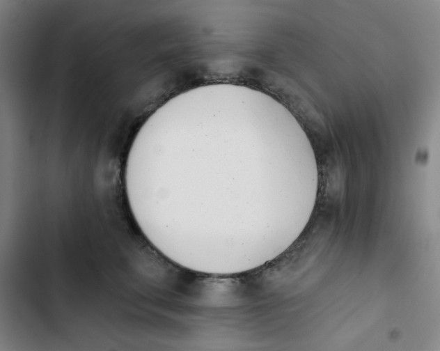 X0000102870711200809151235