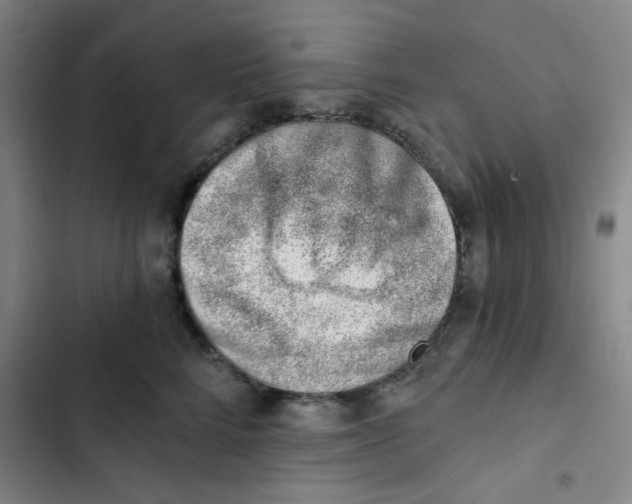 X0000102870712200809151235