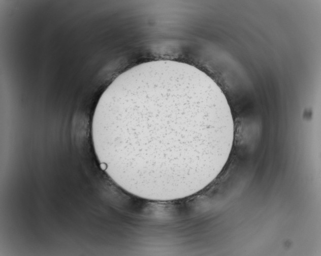 X0000102870713200809151235