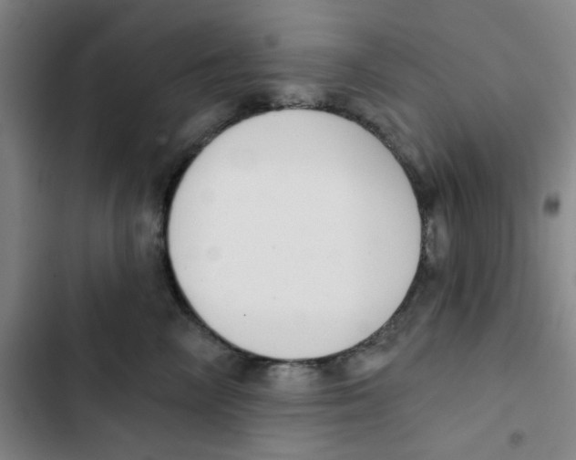 X0000102870714200809151235
